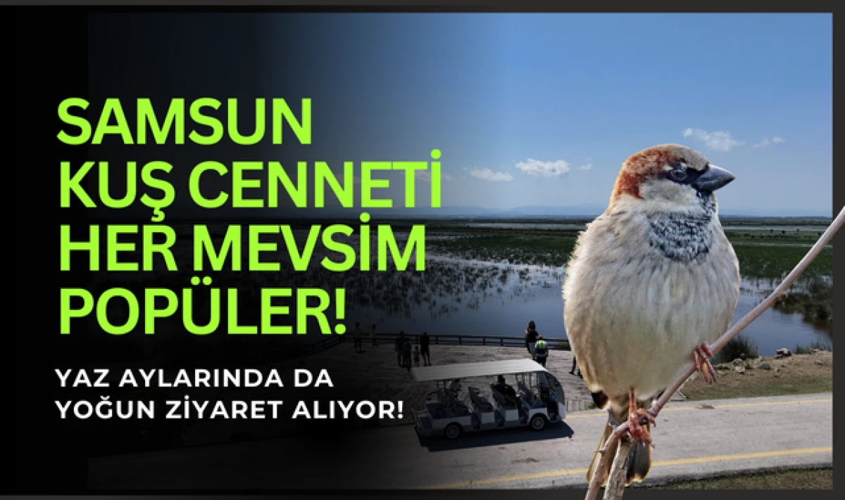 Samsun Kızılırmak Kuş Cenneti Her Mevsim Popüler!