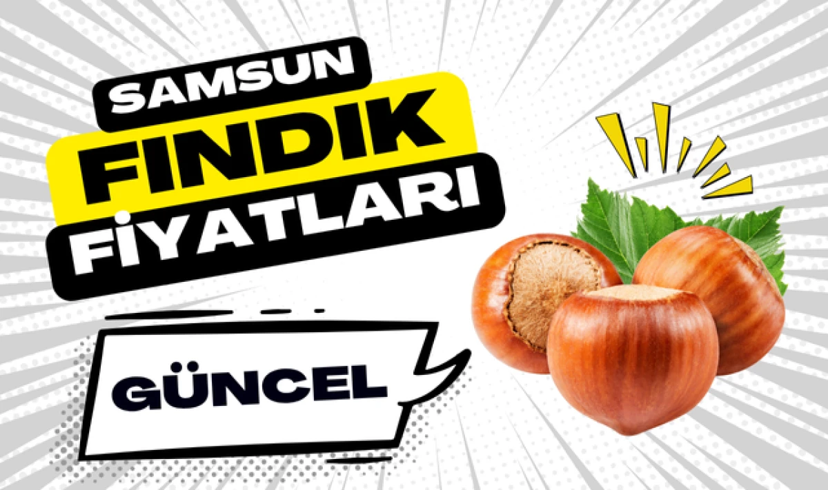 Samsun'da Güncel Fındık Fiyatları! Son Rakamlar!