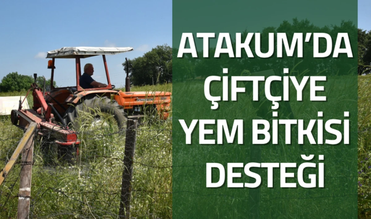 Atakum'da Çiftiye Yem Bitkisi Desteği Veriliyor
