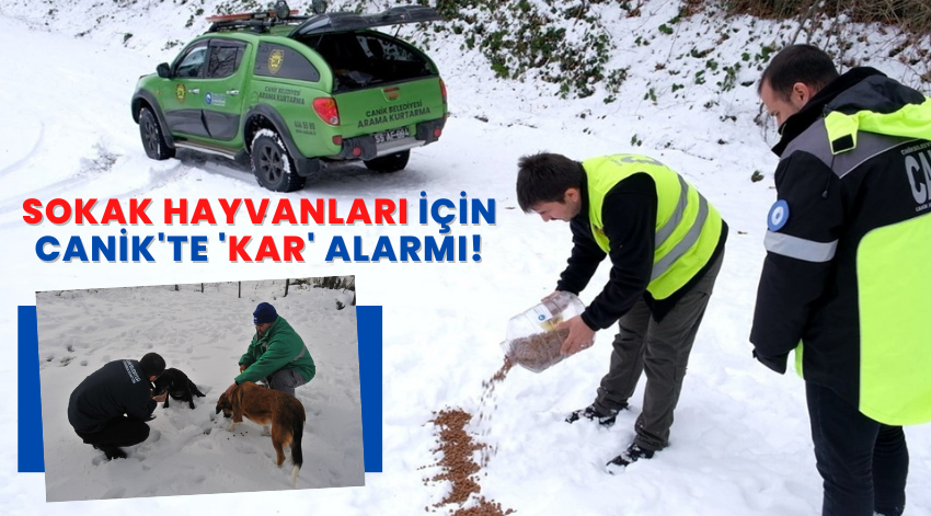 Canik Belediyesinde Sokak Hayvanları İçin Kar Alarmı