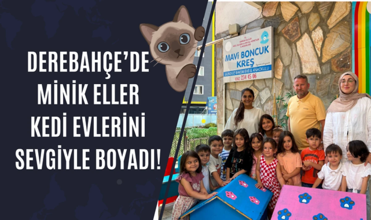 Derebah&ccedil;e'de Minik Eller Kedi Evlerini Boyadı!