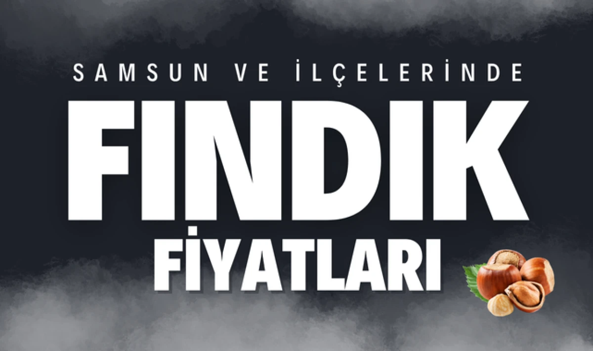 Samsun ve İlçelerinde Güncel Fındık Fiyatları!