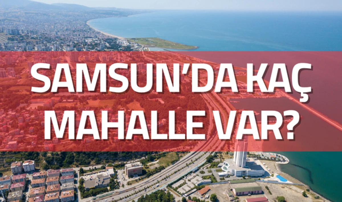 Samsun'da Kaç İlçede Toplam Kaç Mahalle Var!