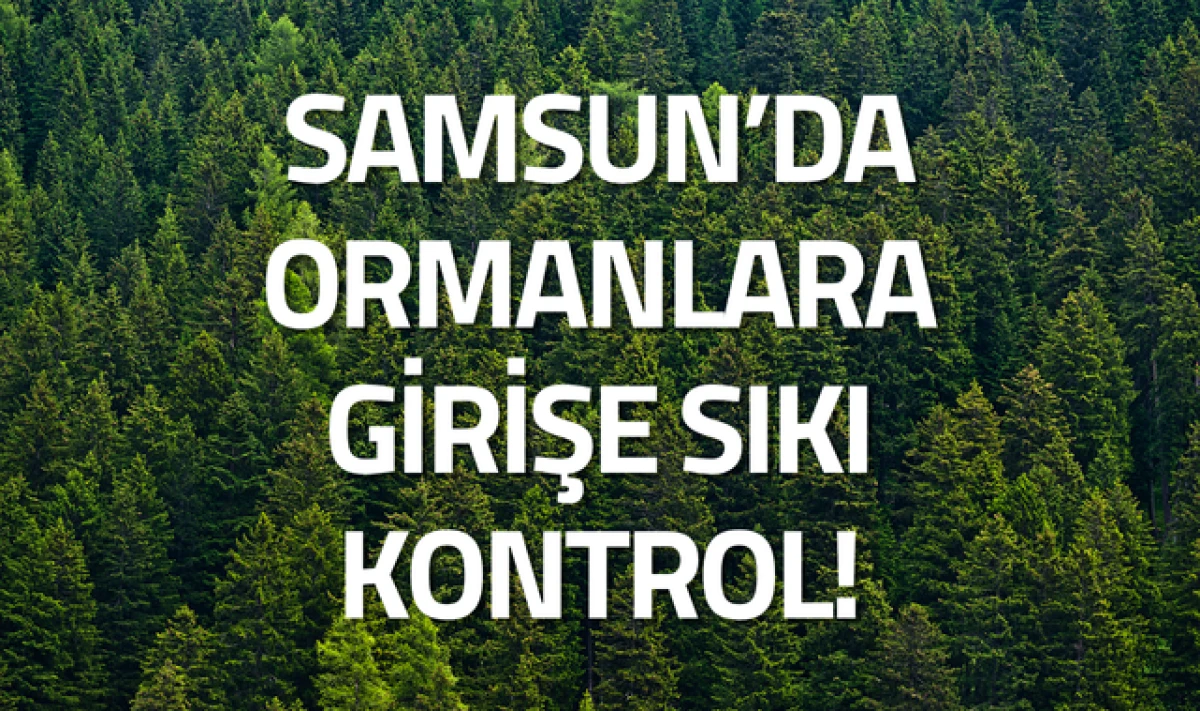 Samsun'da Ormanlara Girişe Sıkı Kontrol Geldi!