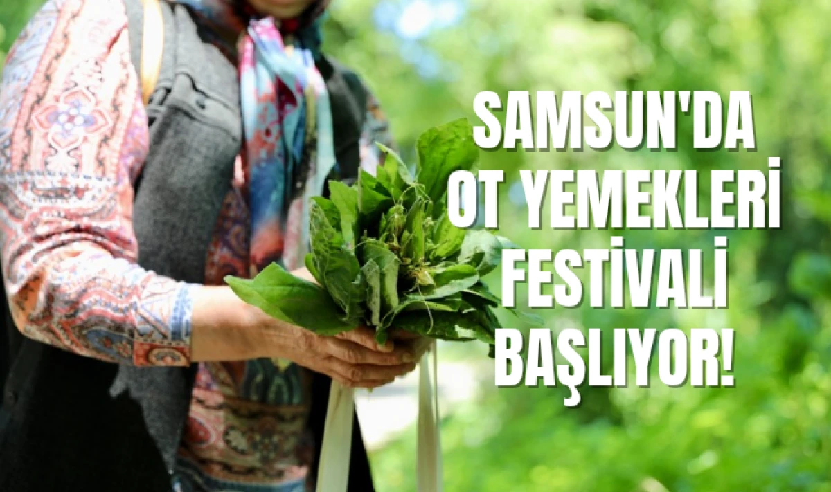 Samsun'da Ot Yemekleri Festivali Başlıyor!