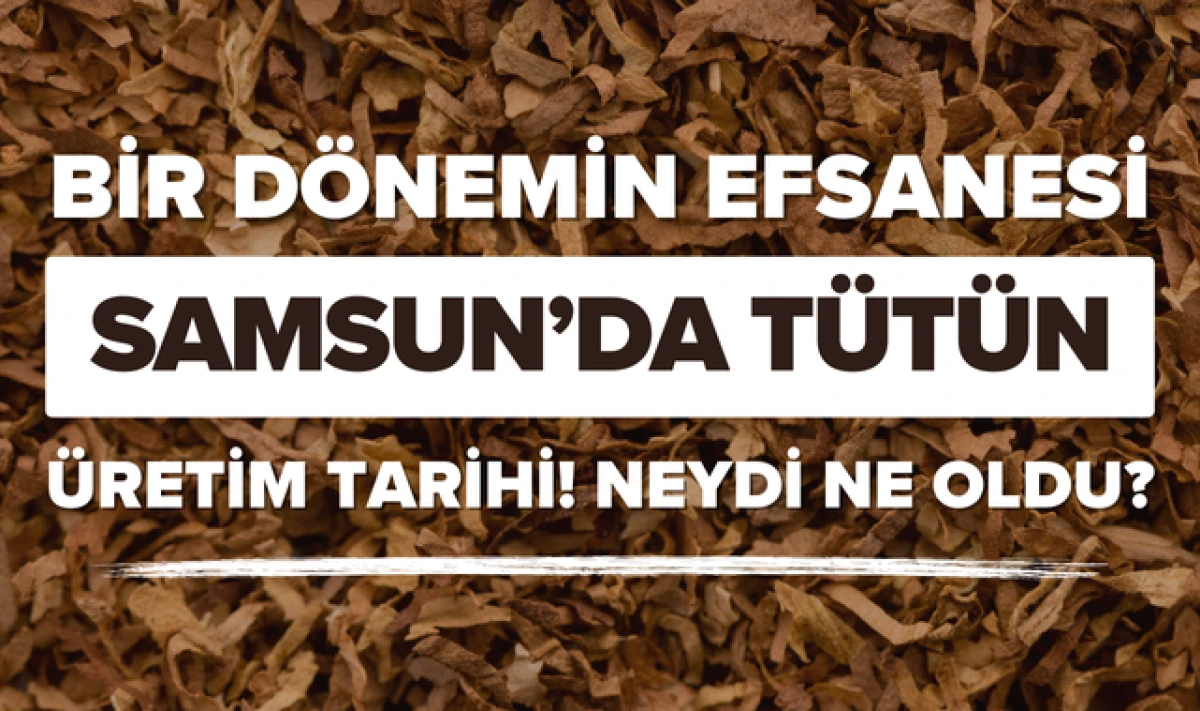 Samsun'da T&uuml;t&uuml;n &Uuml;retim Tarihi; Neydi, Ne Oldu?