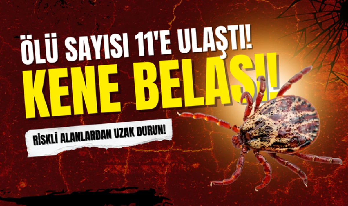 Türkiye'de Ölü Sayısı 11'e Ulaştı: Kene Belası!