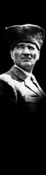 Sitenin sağ 160 600